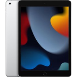 Apple iPad 10.2`` (2021) 256Gb WiFi Plata (MK2P3TY/A) | 0194252516836