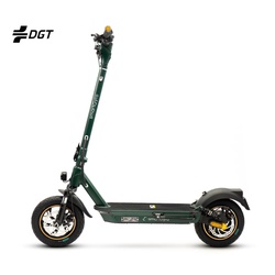 Patinete SmartGyro K2 Pro XL 1000W 12`` Verde (SG27-449)