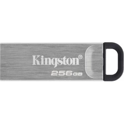 Pendrive Kingston 256Gb USB-A 3.0 Plata (DTKN/256GB) | 0740617309195 [1 de 3]