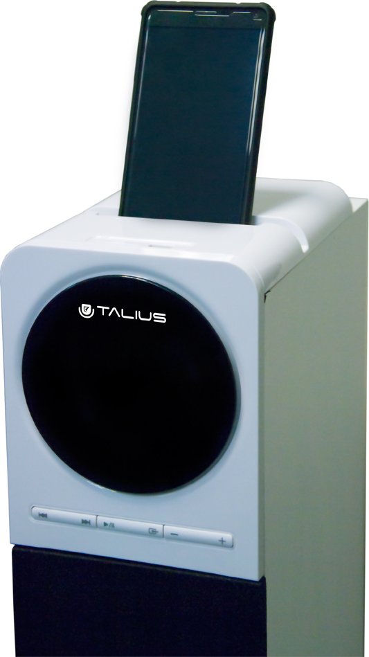 TALIUS - altavoz torre Nina 60W con bluetooth, radio FM, USB, SD y mando a  distancia white