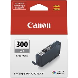 Canon PFI-300 Cartucho de tinta original gris | 4200C001 | 4549292159073 [1 de 2]