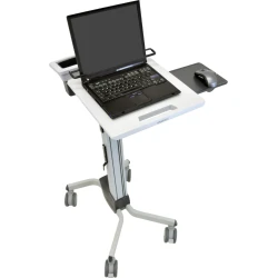 Ergotron Neo-Flex Laptop Cart Gris | 24-205-214 | 0698833015119 | Hay 4 unidades en almacén