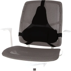 FELLOWES RESPALDO ERGONOMICO PROFESIONAL NEGRO FELLOWES RESPALDO ERGONOMICO PROFESIONAL NEGRO | 8041801 | 0043859685714 | Hay 4 unidades en almacén