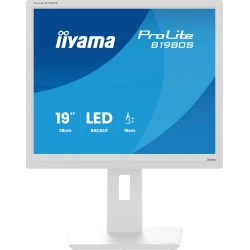 iiyama ProLite B1980S-W1 pantalla para PC 48,3 cm (19``) 128 | 4948570125432 | Hay 24 unidades en almacén