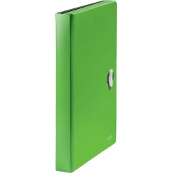 Leitz 46240055 carpeta Polipropileno (PP) Verde A4 Leitz 46240055 carpeta Polipropileno (PP) Verde A4 | 4002432130542 | Hay 1 unidades en almacén