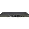 LevelOne GES-2126 switch Gestionado L2 Gigabit Ethernet (10/100/1000) Negro | (1)