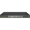 LevelOne GES-2128 switch Gestionado L2 Gigabit Ethernet (10/100/1000) Negro | (1)