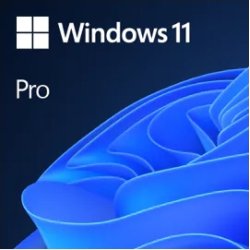 Microsoft Windows 11 Pro 1 licencia(s) | FQC-10572 | 0889842965445 | Hay 50 unidades en almacén