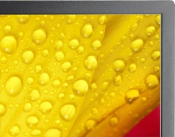 NEC MultiSync M501-2 Diseño de quiosco 127 cm (50``) LED 4K Ultra HD Negro Procesador incorporado NEC MultiSync M501-2 Diseño de quiosco 127 cm (50``) LED 4K | 60006084 | 5028695127470 | Hay 1 unidades en almacén