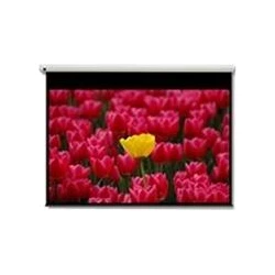 Optoma Pantalla 16:9 2656 x 1494mm pantalla de proyección 3 | DE-9120EGA | 5060059043309 | Hay 8 unidades en almacén