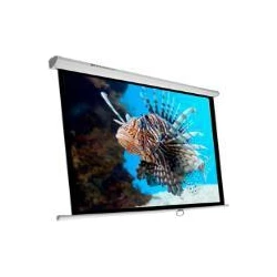 Pantalla electrica videoproyector phoenix pared y techo 135p | PHPANTALLA-300 | Hay 1 unidades en almacén