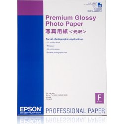 Papel Epson Premium Glossy Photo Paper, DIN A2, 255 g/m², 25 hojas C13S042091 Papel Epson Premium Glossy Photo Paper, DIN A2, 255 g/m², 2 | C13S042091 | 0010343861275 | Hay 2 unidades en almacén