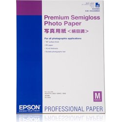 Papel Epson Premium Semigloss Photo Paper, DIN A2, 250 g/m², 25 hojas C13S042093 Papel Epson Premium Semigloss Photo Paper, DIN A2, 250 g/m² | C13S042093 | 0010343861305 | Hay 3 unidades en almacén