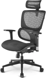 Sharkoon OfficePal C30 Asiento tipo nido Respaldo de malla Sharkoon OfficePal C30 Asiento tipo nido Respaldo de malla | 4044951038558 | 4044951038558 | Hay 3 unidades en almacén