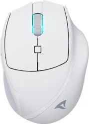 Sharkoon OfficePal M25W ratón Juego mano derecha RF Wireles | 4044951039654 | 4044951039654 | Hay 3 unidades en almacén