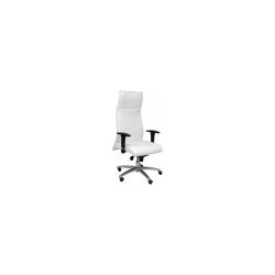 SILLON ALBACETE XL 160KG SIMILPIEL BLANCO 206SXLSPBL SILLON ALBACETE XL 160KG SIMILPIEL BLANCO 206SXLSPBL | 8436563381102 | Hay 3 unidades en almacén
