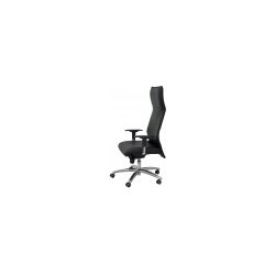 SILLON ALBACETE XL 160KG SIMILPIEL NEGRO 206SXLSPNE SILLON ALBACETE XL 160KG SIMILPIEL NEGRO 206SXLSPNE | 8436549391439 | Hay 3 unidades en almacén