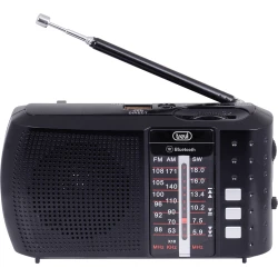 Trevi 0RA7F2000 radio Portátil Analógico y digital Negro | 8011000024356 | Hay 7 unidades en almacén