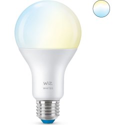 WiZ Bombilla A67 E27 | 8718699786175 | 8718699786175 | Hay 3 unidades en almacén