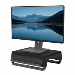 Soporte Elevador Fellowes Monitor Negro (100016560) | 0043859794911 | 25,65 euros