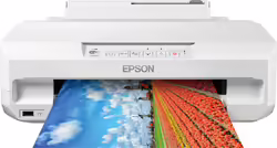 Impresora Epson Expression Photo Xp-65 (C11CK89402) | 149,99 euros