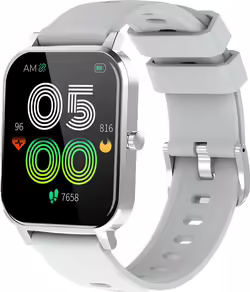 Smartwatch Denver 1.69`` Bluetooth Gris (SW-181 GREY) | 43,45 euros
