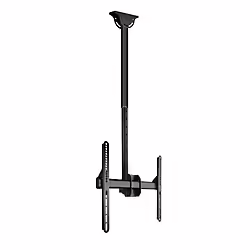 Soporte Techo Tooq 32``-55`` Gira 50kg (LPCE1155TSLI-B) | 8433281007185 | 49,00 euros