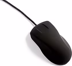 Active Key Ak-pmh1 Ratón Usb Tipo A í“ptico 800 D | BA-PMH1OS-US-B | 7061115603794