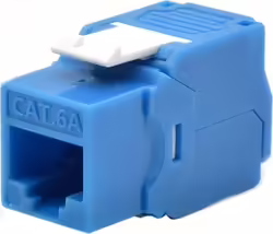 Conector Wp Keystone Hembra Rj45 Cat 6a Utp Azul Wpc-key-6aup-tl  | WPC-KEY-6AUP-TL/B | 8054392615443