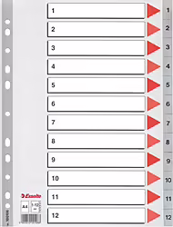 Esselte Plastic Indexes | 100106 | 5902812001068 | 5,99 euros