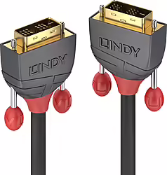 Lindy 36240 Cable Dvi 10 M Dvi-d Negro | LINDY36240 | 4002888362405 | 53,99 euros