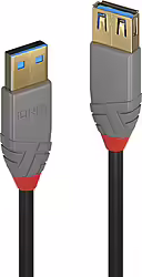 Lindy 36761 Cable Usb 1 M Usb 3.2 Gen 1 (3.1 Gen 1) USB A Negro | LINDY36761 | 4002888367615