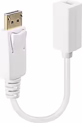 Lindy 41060 Adaptador De Cable De Ví­deo 0,15 M Displaypo | LINDY41060 | 4002888410601