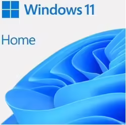 Microsoft Windows 11 Home 1 licencia(s) | KW9-00664 | Hay 100 unidades en almacén