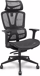 Piqueras Y Crespo Silla Pro537 Traslack Malla Negra Brazos 3d Rue | 537TKM840B3DRN60 | 8435501019626