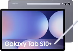 Samsung S10+ 512 Gb 31,5 Cm (12.4``) 12 GB Android 14 Gris | SM-X820NZAPEUE | 8806095597294