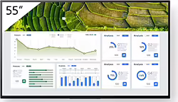 Sony Fw-55bz30l Pantalla De Señalización Pantalla P | 4548736150065 | 751,99 euros