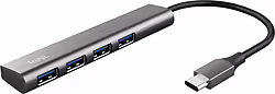Trust Halyx Usb 3.2 Gen 1 (3.1 Gen 1) Type-A 5 Mbit/s Gris | 8713439249484 | 19,99 euros