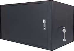 Wp Wpn-rws-06504-b Armario  Mini Rack De Seguridad 19p Serie Rws  | 8056045878861 | 139,49 euros