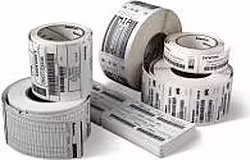 Zebra Z-trans 5p 102 X 152 Mm | 76180 | 5051964735533 | 75,99 euros