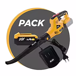 Soplador S Carbones 20v + Bateria 4ah + Cargador Blim | 99,00 euros