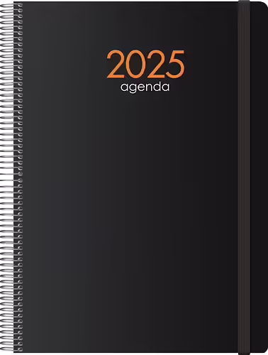 DOHE Syncro Agenda personal 2025 | 11617-2025 | 8421938116175 imagen 1