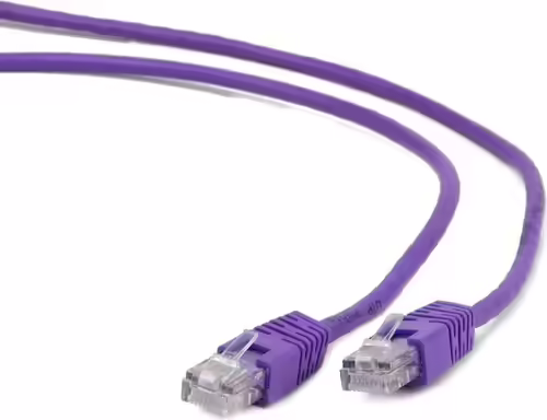 Gembird RJ45/RJ45 Cat5e 0.5m cable de red Púrpura 0,5 m U/UTP (UTP) | PP12-0.5M/V | 8716309077910 imagen 1