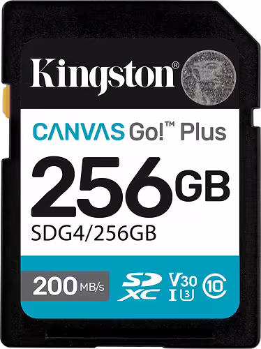 Kingston SDXC Canvas Go Plus 256Gb Gen4 (SDG4/256GB) | 0740617347739 imagen 1