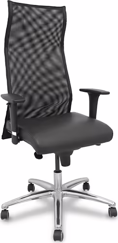 Piqueras y Crespo Sillon Sahuco XL similpiel negro hasta 160kg | 13SXLSPNE | 8435501000273 imagen 1