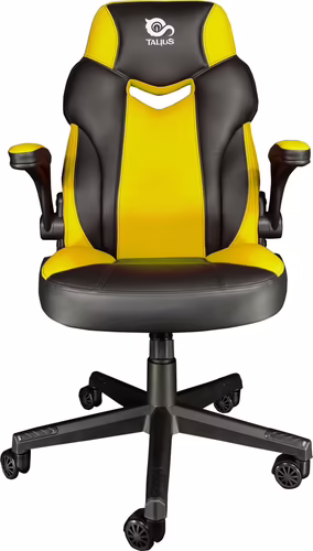 TALIUS TAL-CRAB-GRN silla para videojuegos Silla para videojuegos universal Negr | 8436550236415 imagen 1