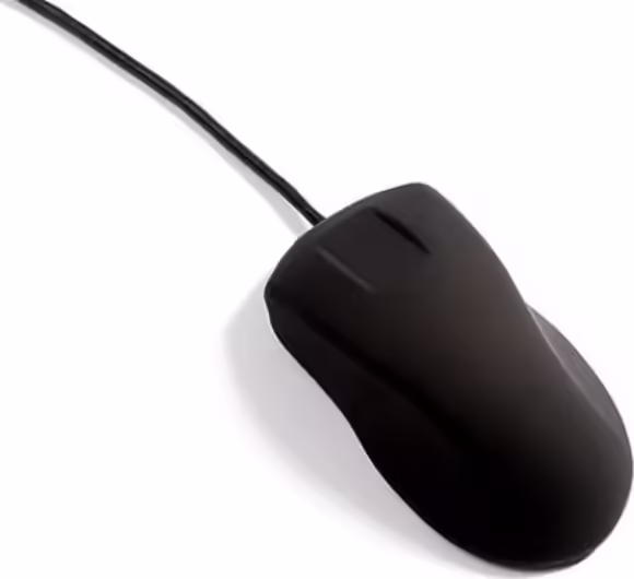 Active Key AK-PMH1 ratón USB tipo A Í“ptico 800 DPI | BA-PMH1OS-US-B | 7061115603794 imagen 1