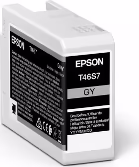 Cartucho Epson UltraChrome Pro 1 pieza Original Gris C13T46S700 | 8715946680880 imagen 1