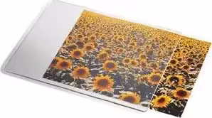 Esselte 67691 alfombrilla para ratón Transparente, Blanco | 4002432344338 imagen 1