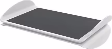 Leitz Ergo Gris | 65030085 | 4002432134809 imagen 1